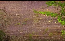 松榆东里新增无症状病例，松榆东里是哪个区