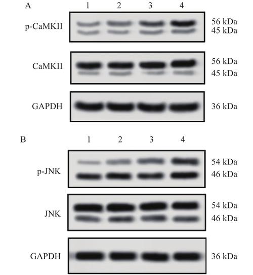 c语言 tchar szfilter