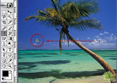 织梦cms 如何添加flash图片