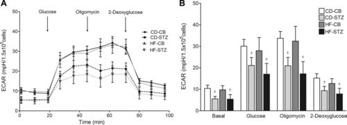 C语言infunctionmain