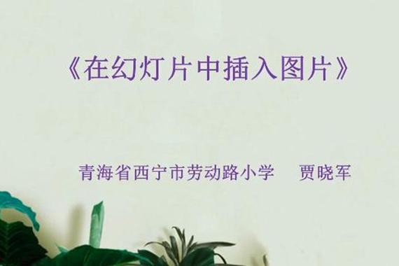 dede文章内容页中加入图片幻灯片