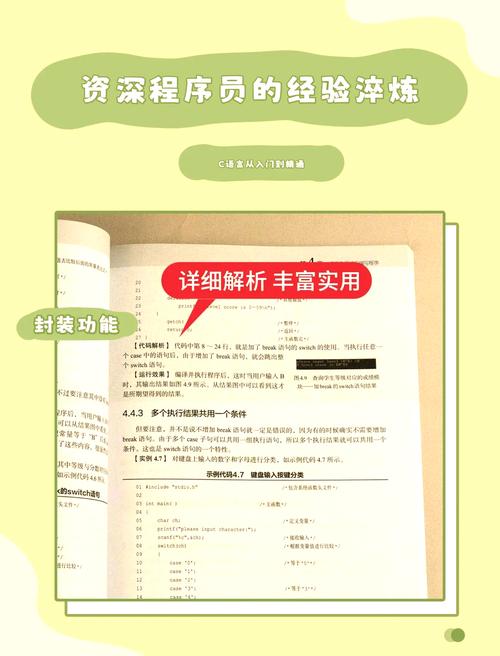 c语言从入门到精通实例版 pdf