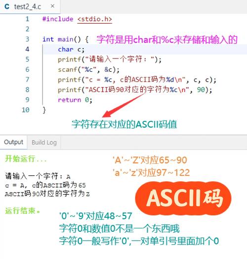 c语言中基本的数据类型包括.