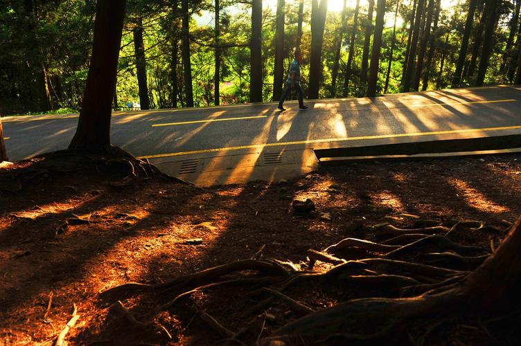 韩顺平 dedecms织梦