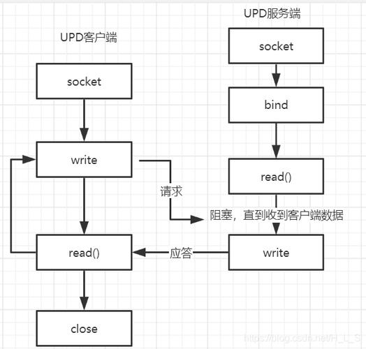 c语言 socket udp