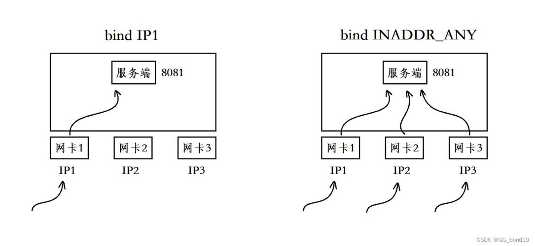 c语言udp socket