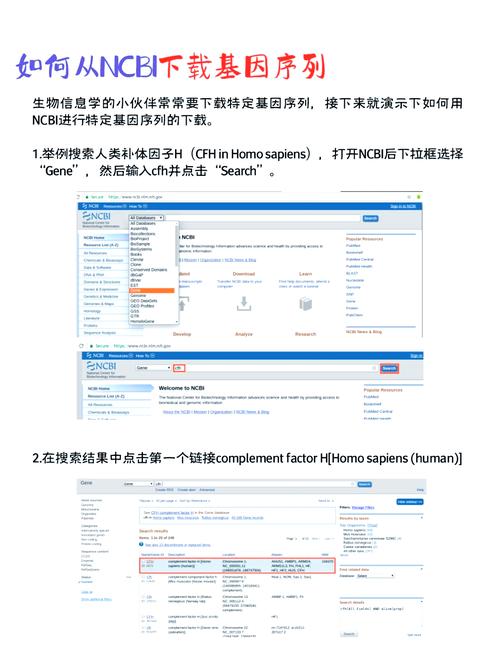 怎样进入dede数据库