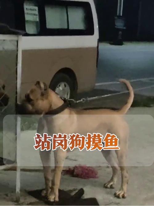 dede 整合 记事狗