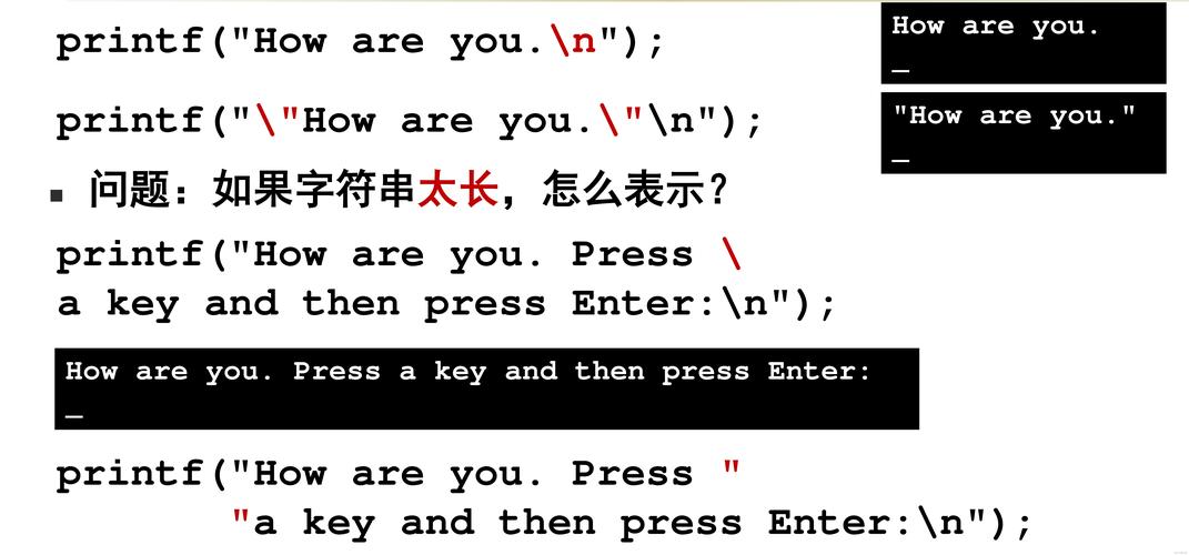 什么语言没有借鉴C语言