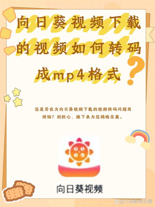 dede 手机版视频