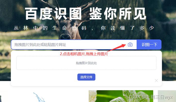 dede图集上传图片