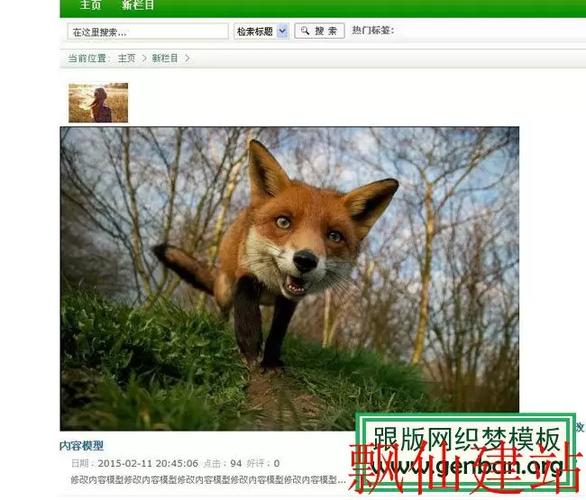 织梦删除自定义变量