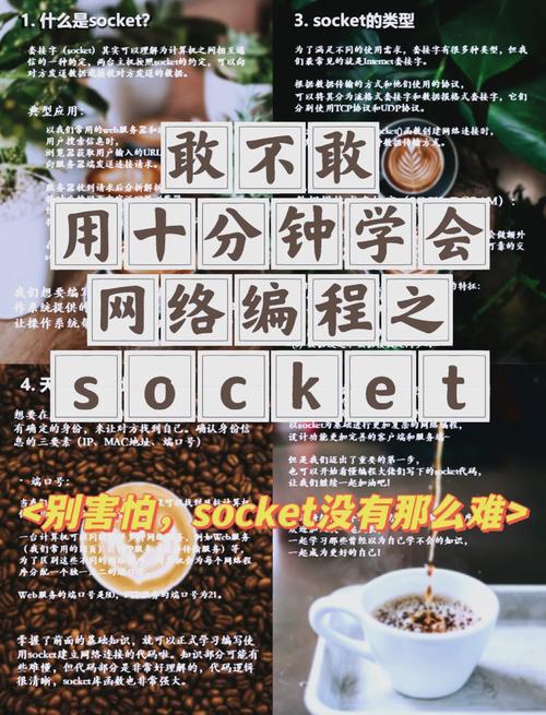 c 语言 socket