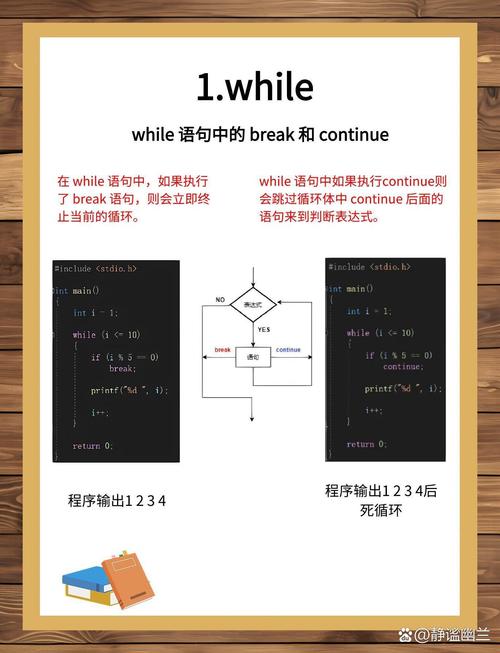 c语言和rapid语言