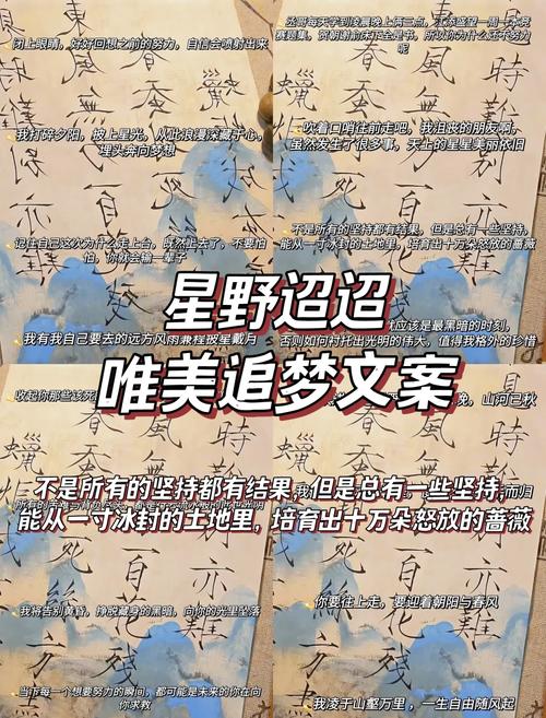 织梦段落自定义样式