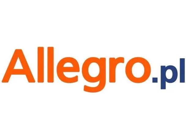 ALLEGRO c语言